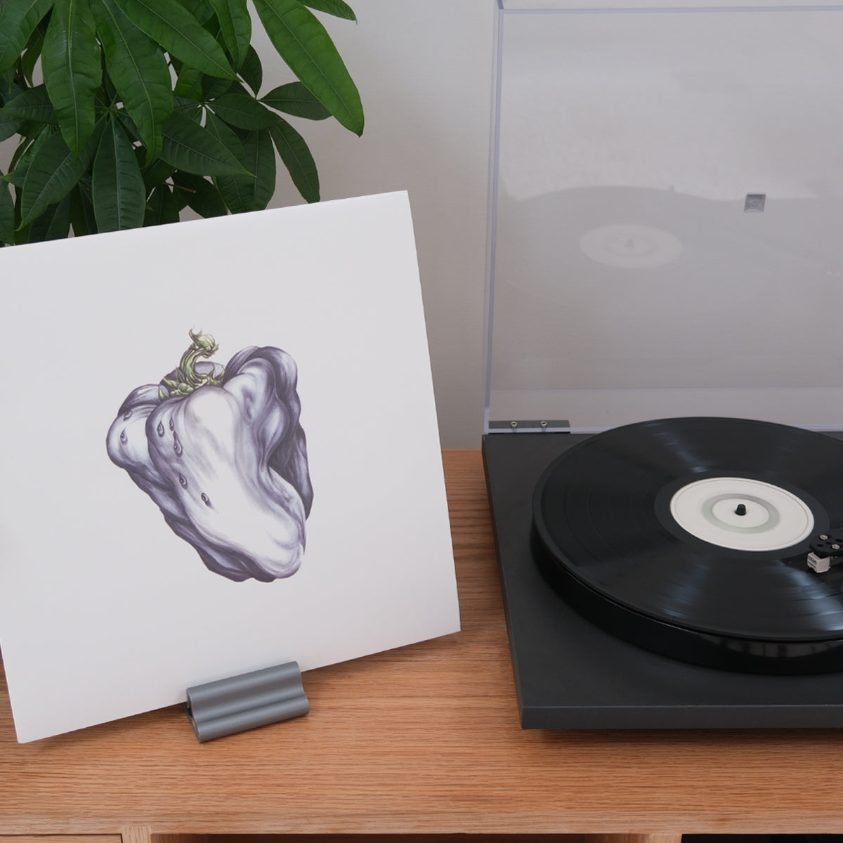 Record Display Stand - Strumland Now Playing Modern Vinyl Stand - Classic Silver