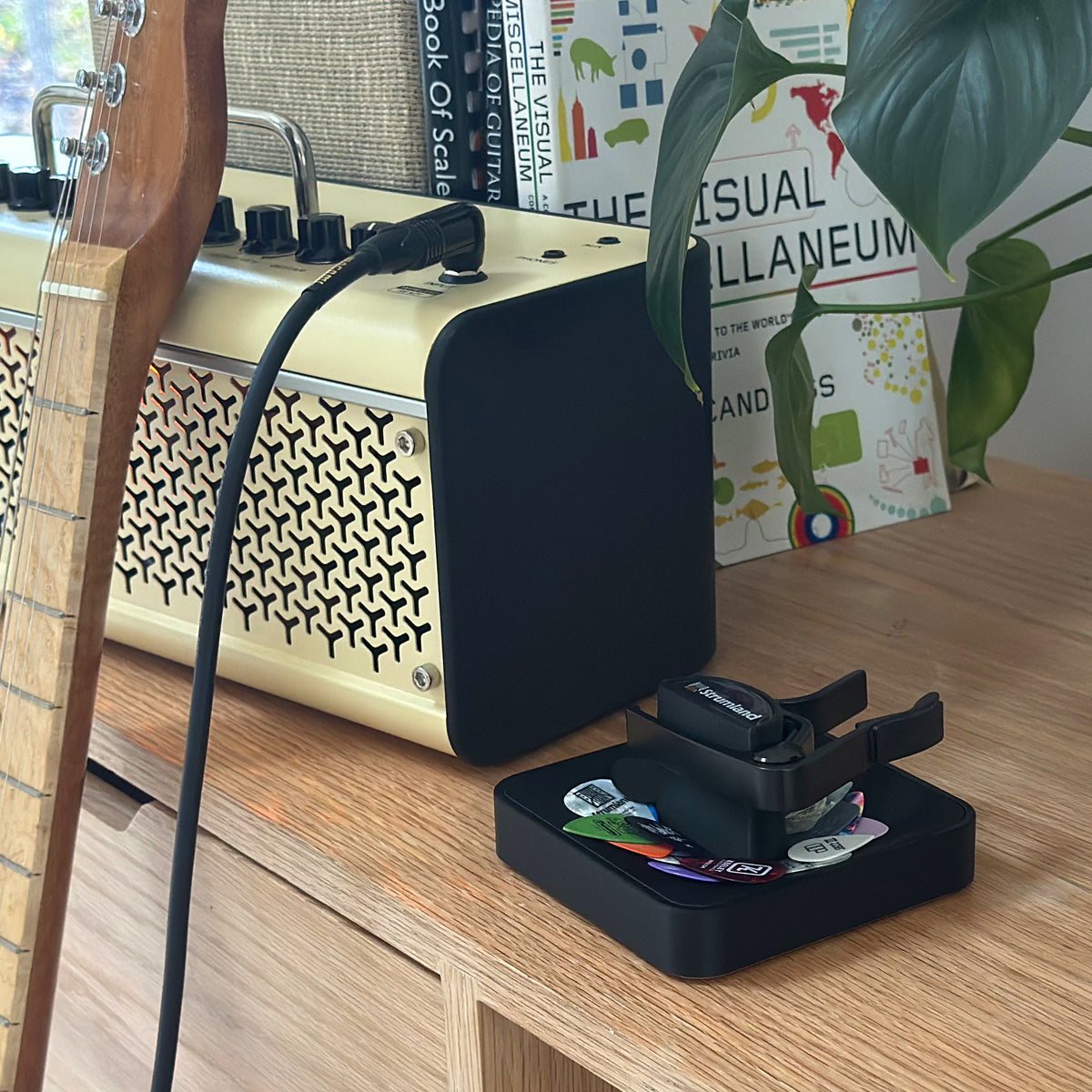 Guitar Pick Tray + Capo & Tuner Holder